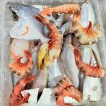 সামুদ্রিক পাঁচমিশালি